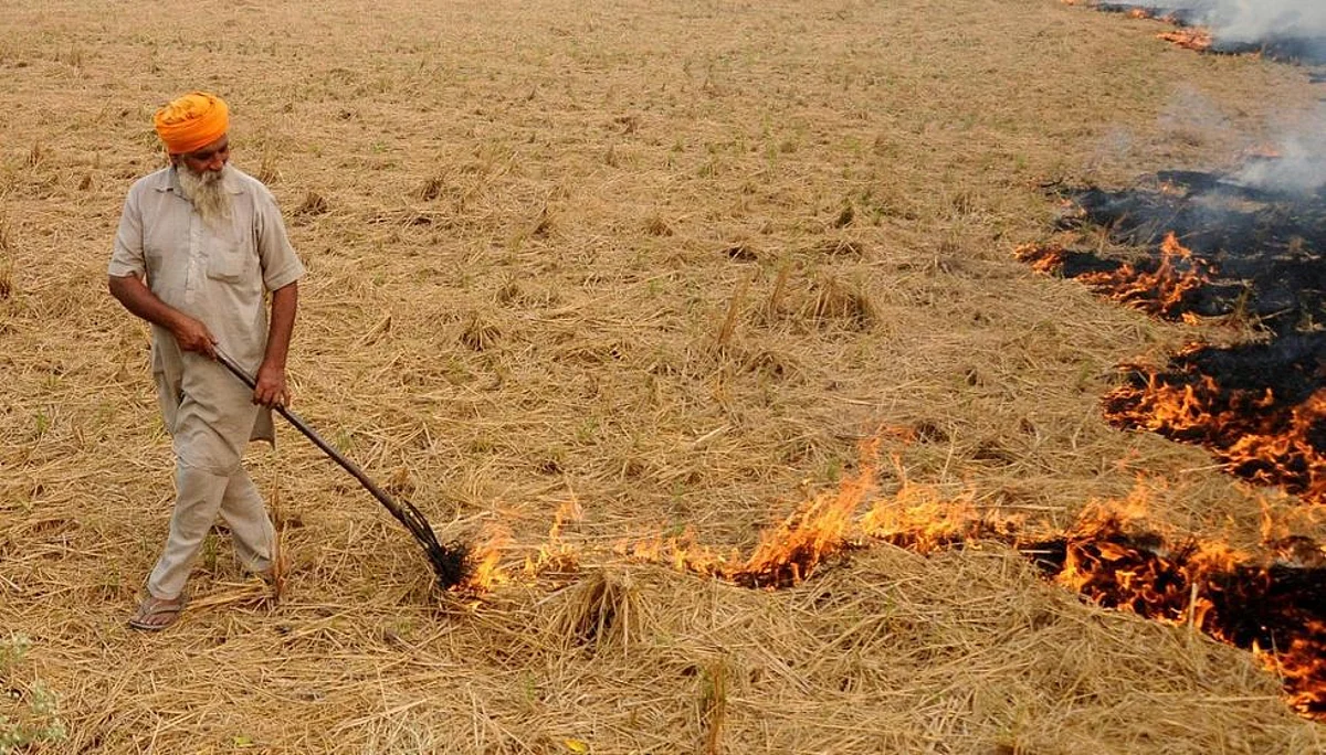 किसान पराली जलाते हुए। (Twitter)