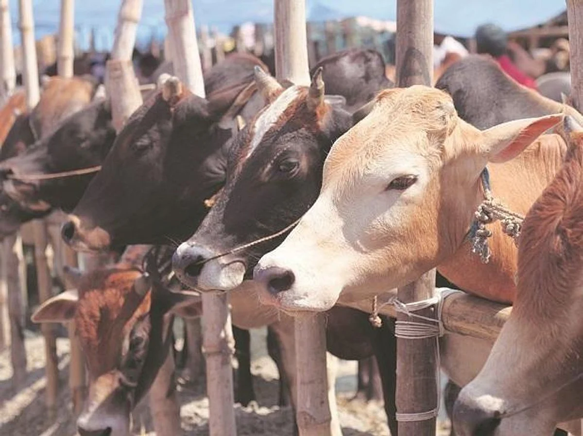 जन और जमीन की सेहत के लिए जरूरी है देशी गोवंश : योगी आदित्यनाथ