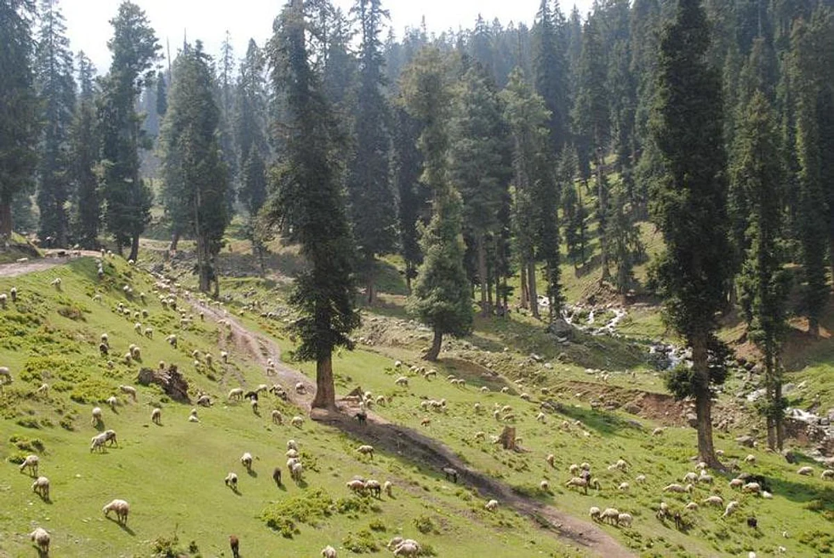 जम्मू और कश्मीर पुनर्गठन थर्ड ऑर्डर, 2020 के तहत इस आदेश का पालन हुआ करेगा। (Unsplash)
