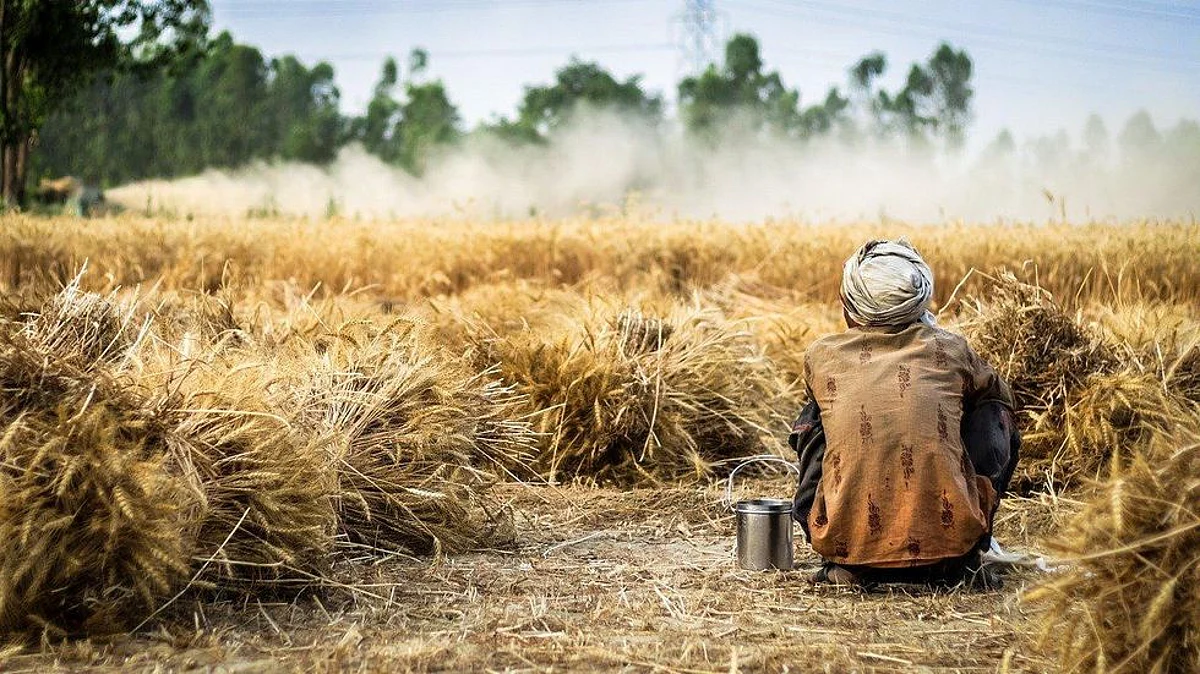 बीएचयू ने कृषि विकास के लिए फार्ड नामक एक एनजीओ के साथ एक समझौते पर हस्ताक्षर किया है। (Pixabay)