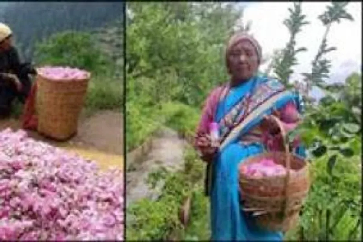गुलाब से स्वरोजगार की जीवंत मिसाल पेश कर रही उत्तराखंड की महिलाएं। (IANS)