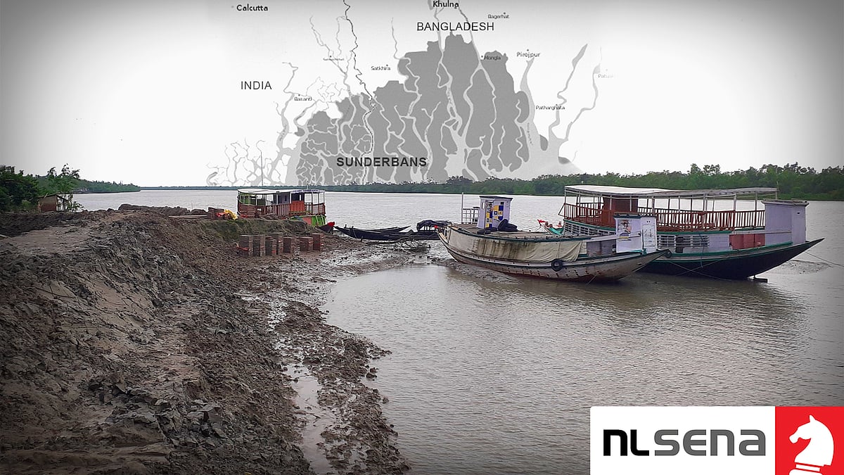Cracks in the shield: How the Sundarbans is dying and making Bengal prone to cyclones - Vimarsana News