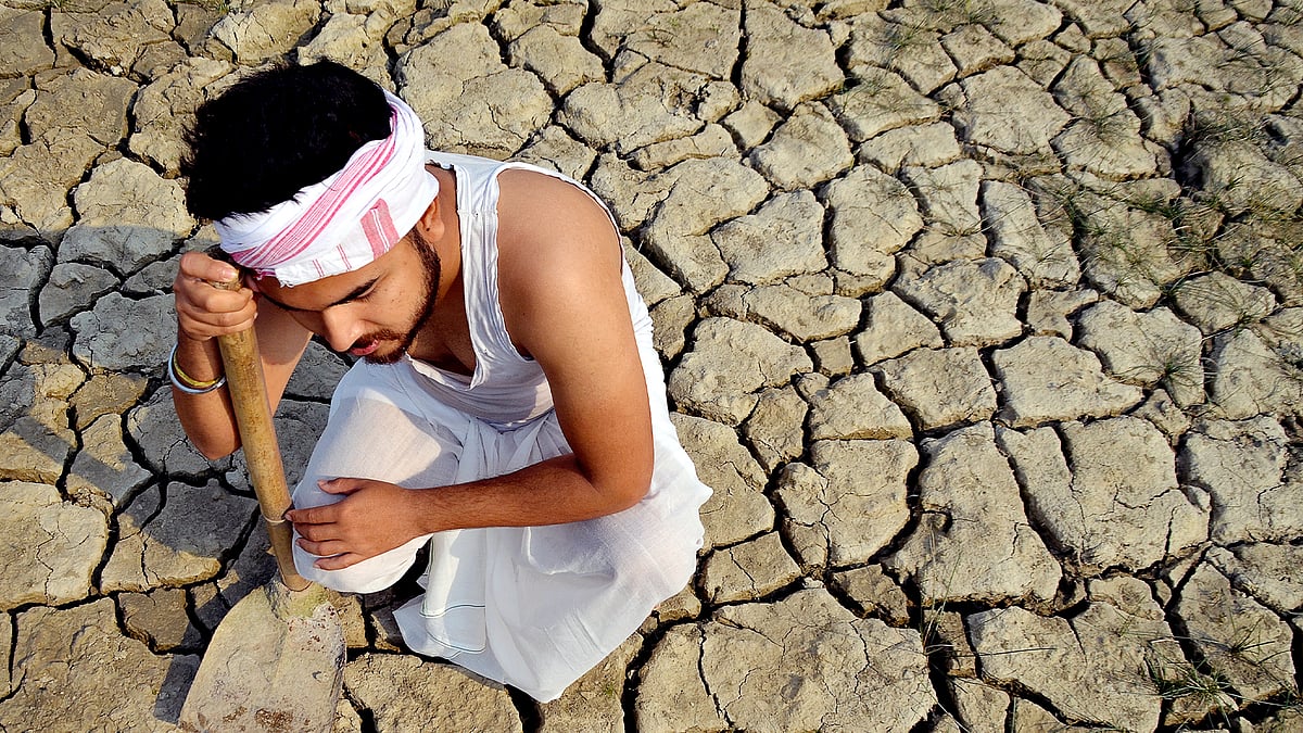 Creeping disaster Over half of India’s soil is degraded