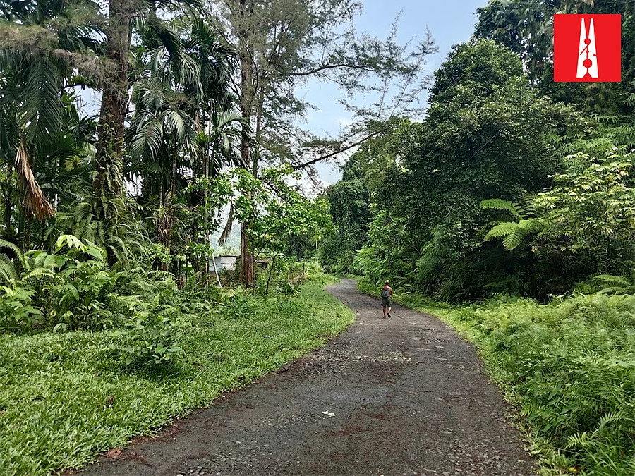 A path near the Biosphere reserve. | Rishika Pardikar