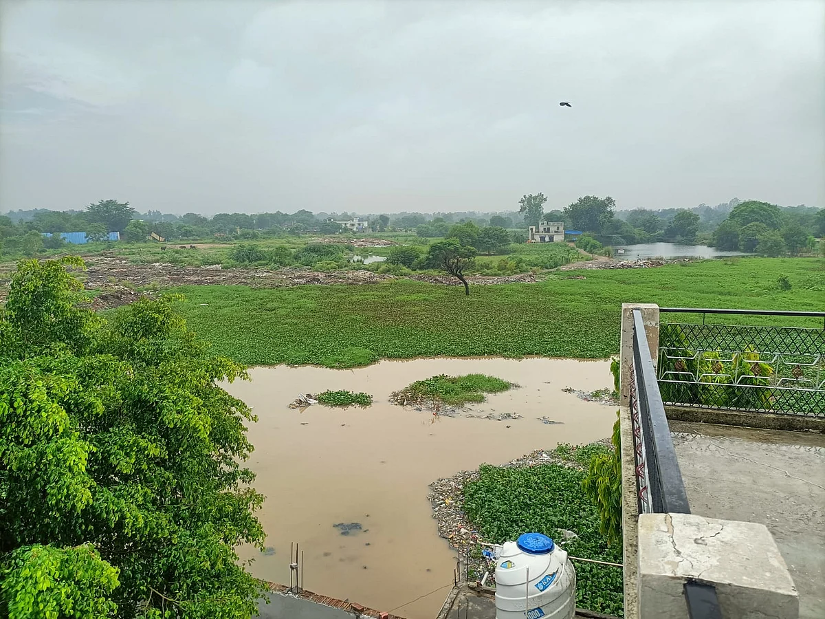 The pond where water from Asola drain accumulates, and over flows in the monsoon