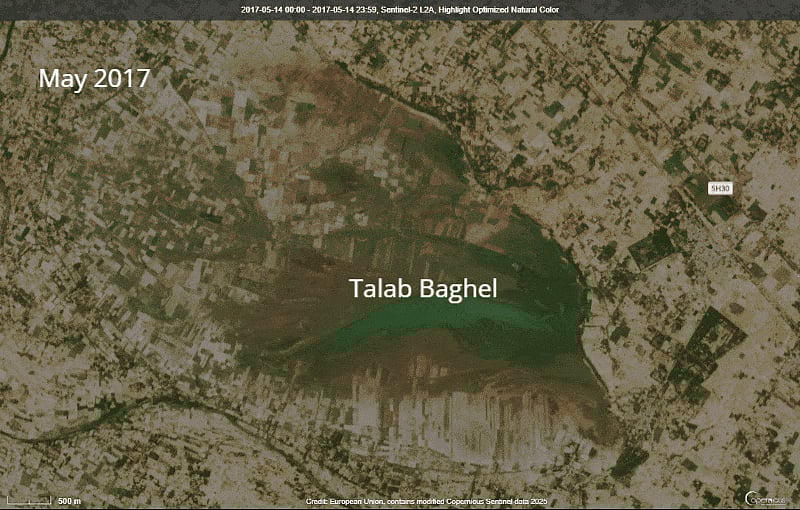 Satellite imagery shows Talab Baghel has splintered into disconnected patches, even as farmland has expanded.