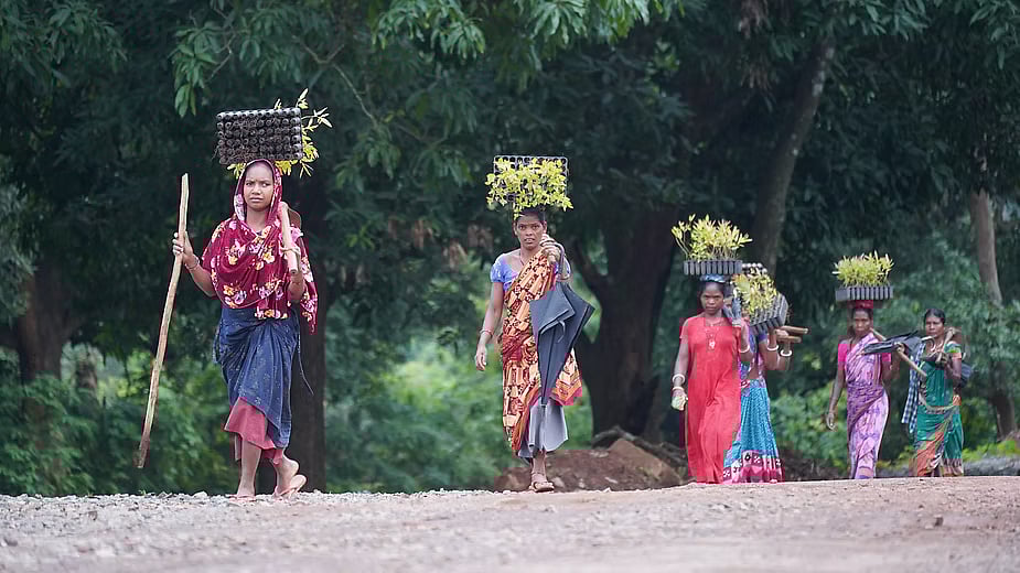 Government programmes have increased the number of paid workdays, but people earn more and faster from working in other states. Photo: Prajjwal Thakur