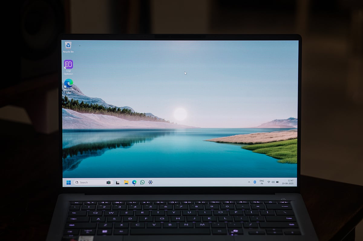 The OLED screen performs well but is reflective.