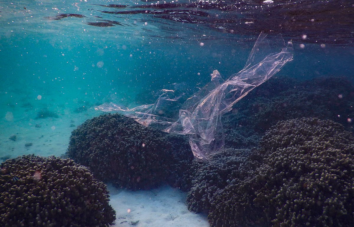 Plastics found near reefs