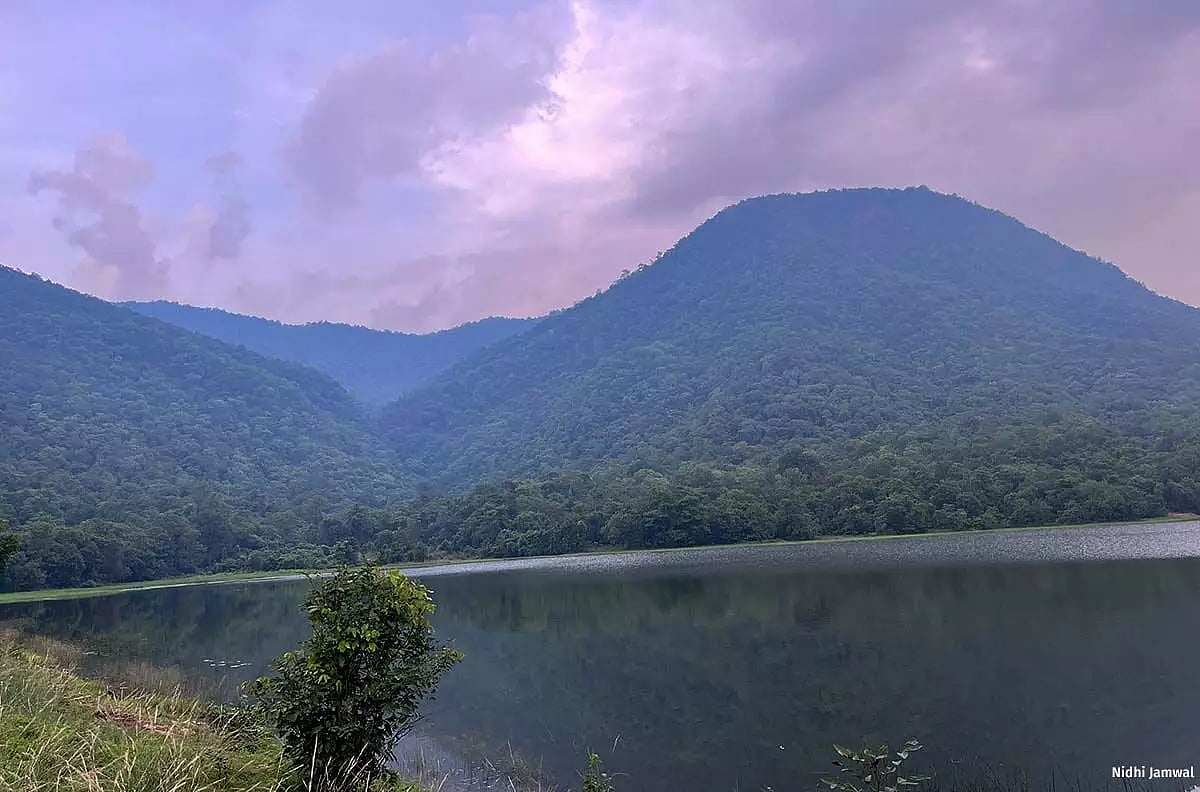 It is said that the Gandhamardhan Hills sustain more than a million people through its forests which are rich in mahua, tubers, fruits, honey, mushrooms, hill grass, etc.