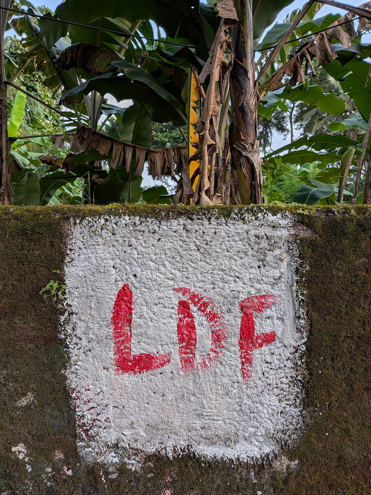 The detail reproduction is excellent.