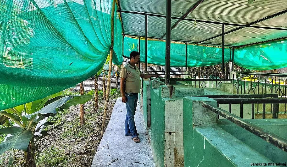 Padum Giri at his pig farm in Betbari in Sivasagar district of Assam. (Photo courtesy: Sanskrita Bharadwaj)