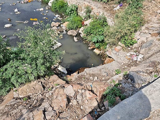 On the banks of the Maidan Garhi pond. (Image courtesy Akankhya Rout)