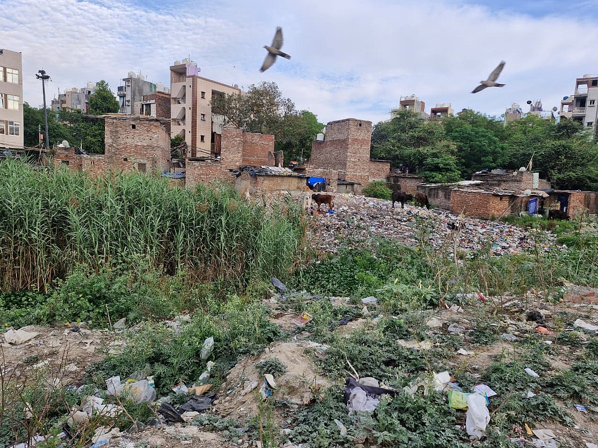 What was once a pond is now a garbage dump at Khichripur. (Image courtesy Akankhya Rout)