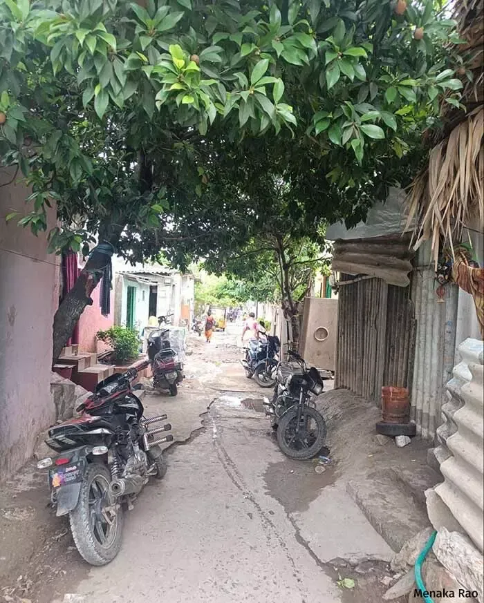 Sarada colony, Guntur.