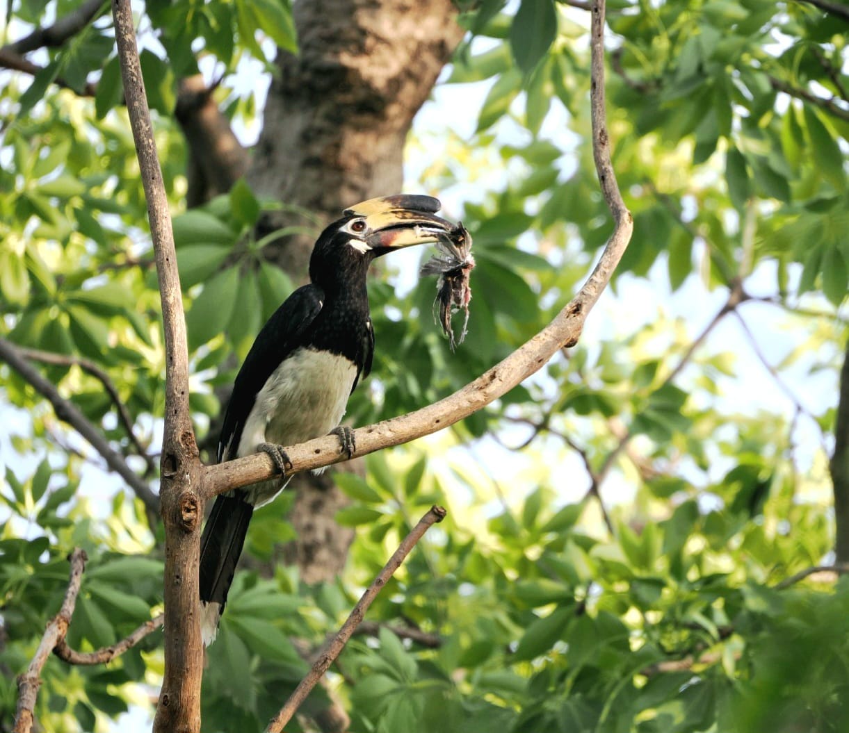 imageby :Anuradha Mathur