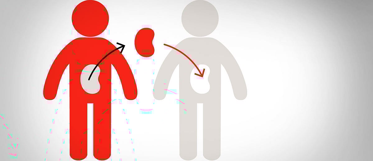 How our politicians find donor kidneys so easily