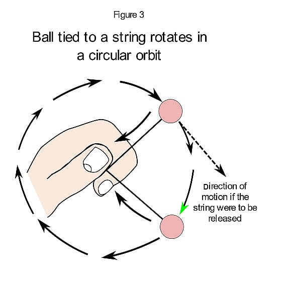 So, did Isaac Newton really discover gravity?