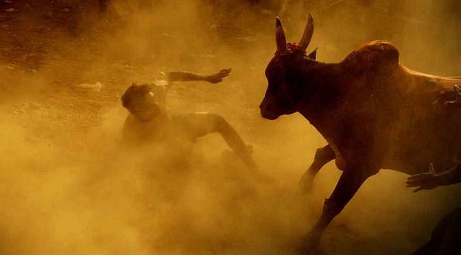 ஜல்லிக்கட்டு : நீங்கள் தெரிந்துகொள்ள வேண்டிய 10 தகவல்கள்