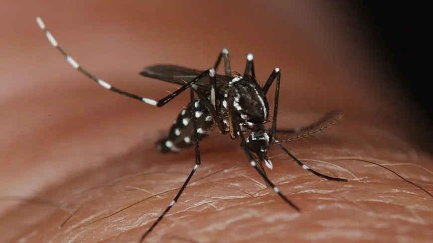 4 வாரம் கோமா, 30 அறுவை சிகிச்சைகள்; எல்லாம் ஒரு கொசுக்கடியால் - கண்ணீர் விடும் இளைஞர்!