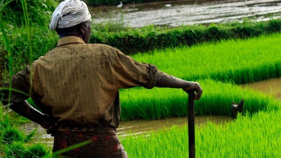 205 கிலோ வெங்காயம் விற்றதில் 8 ரூபாய் தான் லாபமா? மனமுடைந்த விவசாயி -  வைரலாகும் ரசீது!