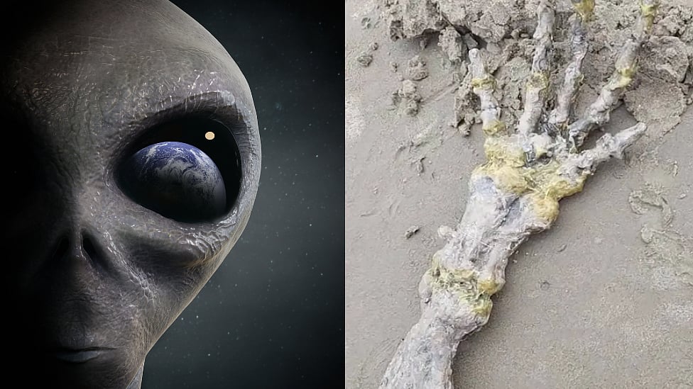 பூமியில் கிடைத்ததா ஏலியன் கைகள்? - மர்ம பொருளின் பின்னணி என்ன?