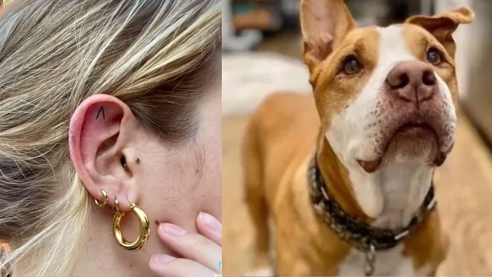 இறந்த நாய்காக பச்சை குத்தி அஞ்சலி செலுத்திய பெண் : இணையவாசிகளை நெகிழ வைத்த வீடியோ