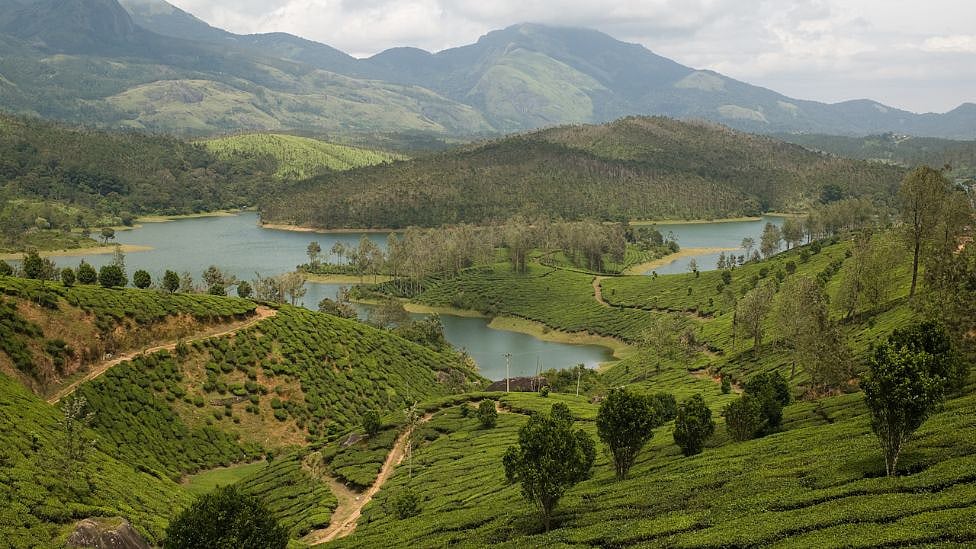 ஏலகிரி முதல் ஏற்காடு வரை - தமிழகத்தின் இந்த புகழ்பெற்ற டிரெக்கிங் பாதைகள் தெரியுமா?