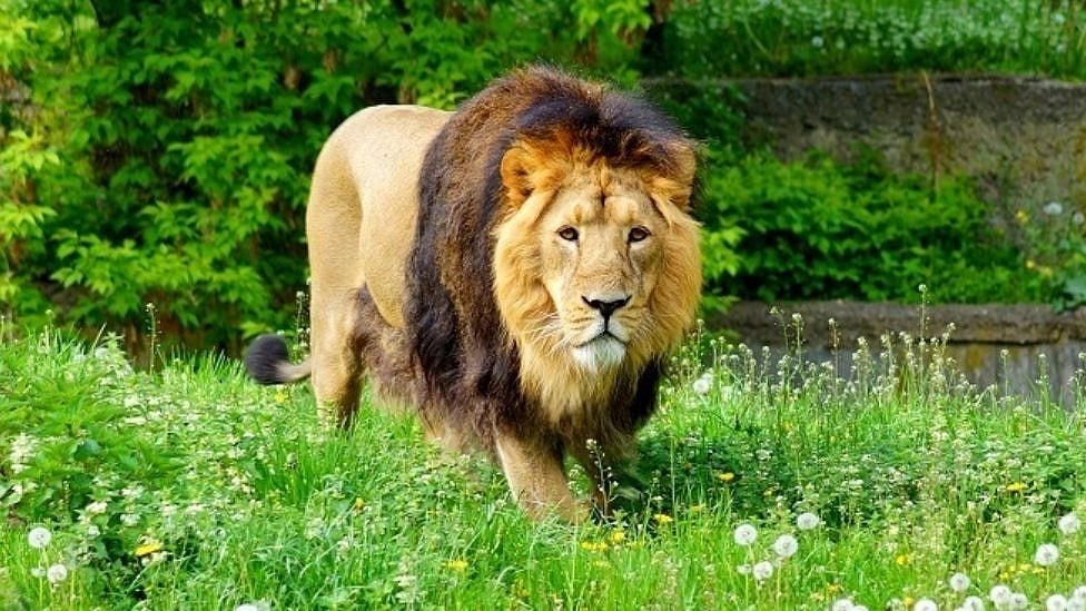 Gujarat போறீங்களா? இந்த இடங்களை மிஸ் பண்ணாம பாருங்க!