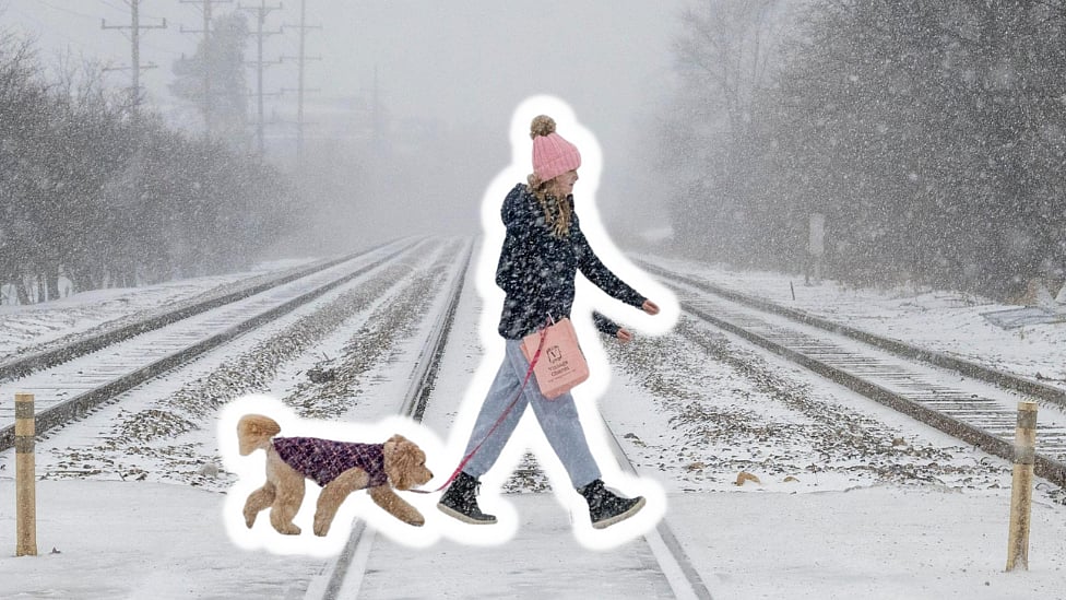 Bomb Cyclone :  கடுங்குளிர், காருக்குள்ளேயே இறந்த மக்கள் - என்ன நடக்கிறது அமெரிக்காவில்? 