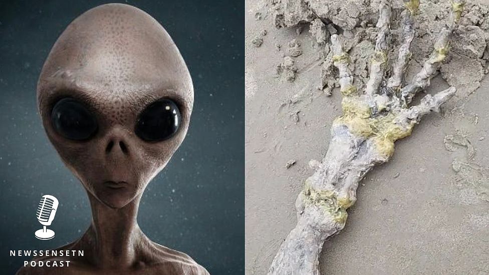 ஏலியன் கைகளா? கடற்கரையில் கண்டெடுக்கப்பட்ட மர்ம பொருள்| Podcast
