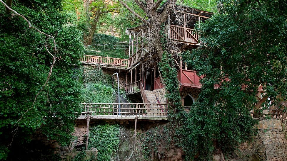 Tree house: குளிர் காலத்தில் நீங்கள் நிச்சயம் போக வேண்டிய இந்தியாவின் தனிமையான மர வீடுகள் 