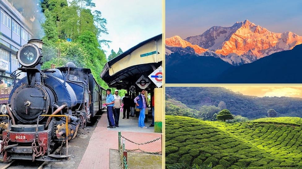 Travel: டார்ஜிலிங் முதல் சுந்தர்பன்ஸ் வரை - மேற்கு வங்கத்தில் மிஸ் செய்யக் கூடாத இடங்கள்