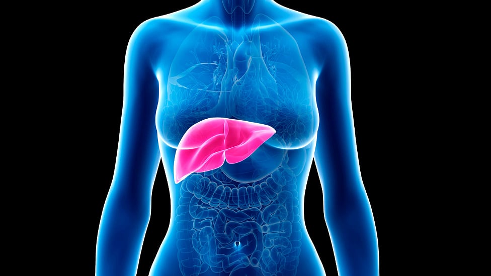 கல்லீரல் : இந்த பிரச்னைகள் இருந்தால் உங்கள் கல்லீரல் நலமாக இல்லை - 19 அறிகுறிகள்