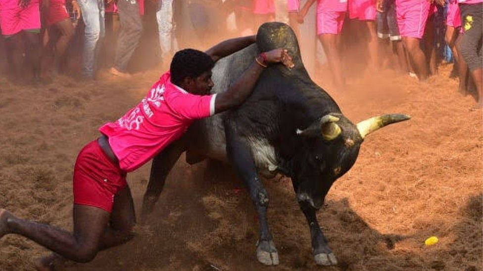புதுக்கோட்டை ஜல்லிக்கட்டு: ஆட்டம் காண்பித்த காளையை அடக்கி சிறப்பு பரிசை தட்டி சென்ற வீரர்!