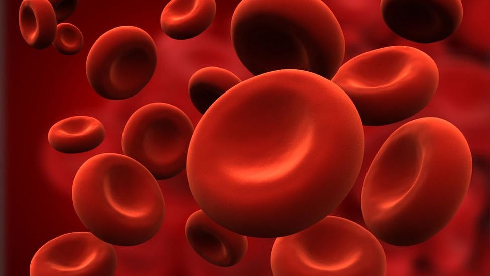 இரும்புச் சத்து குறைபாடா? இந்த உணவுகளை ட்ரை பண்ணுங்க