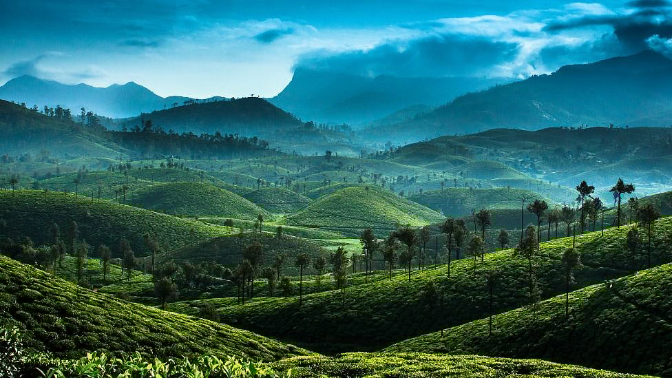 வால்பாறை முதல் வயநாடு வரை - நீங்கள் நிச்சயம் செல்ல வேண்டிய 9 இடங்கள்