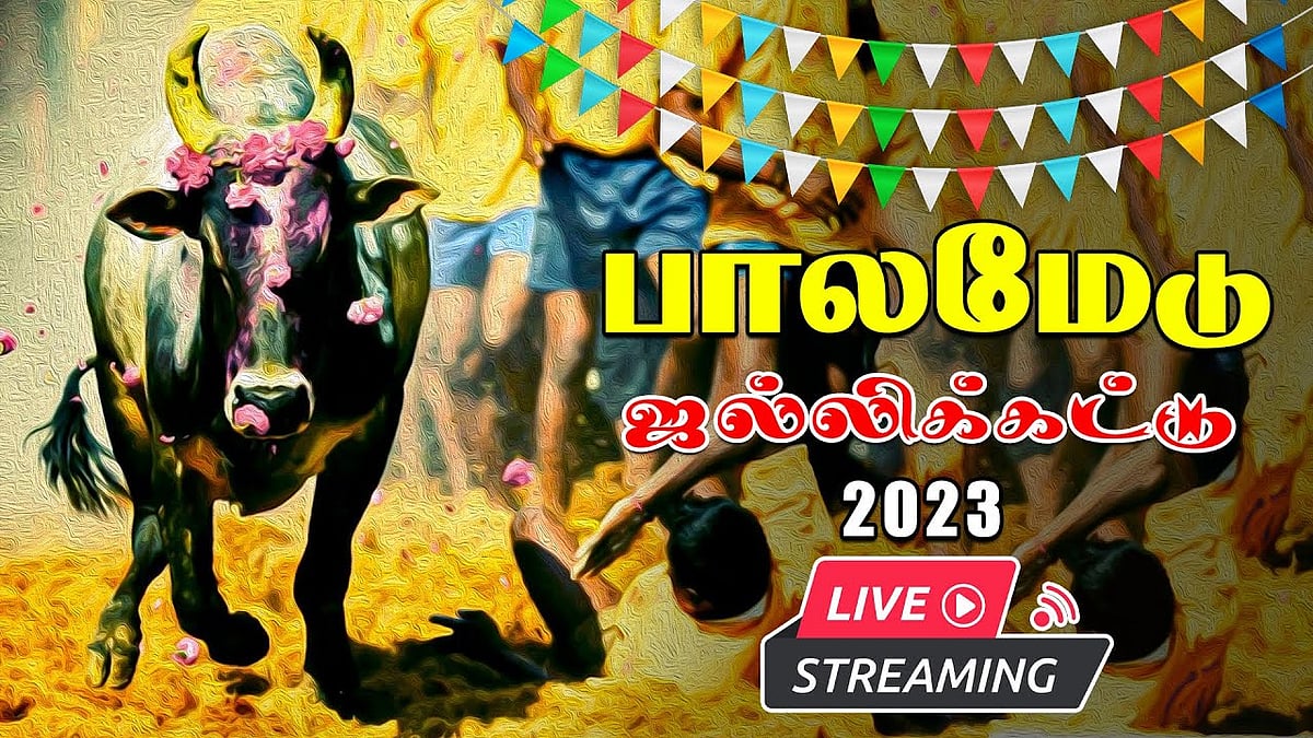 பாலமேடு ஜல்லிக்கட்டு Live : பரபரப்பாக தொடங்கிய போட்டி - நேரலையில் காணுங்கள்
