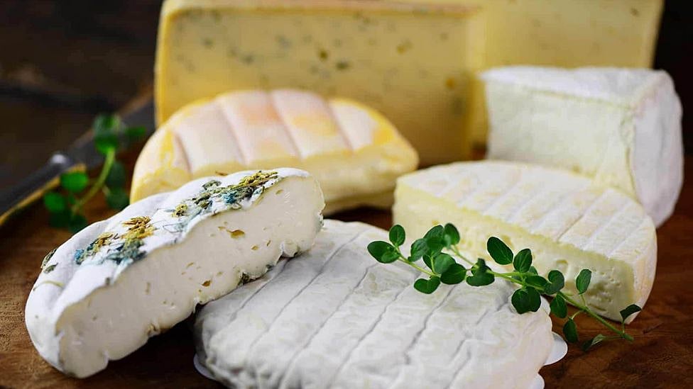 உலகின் மிக விலையுயர்ந்த சீஸ் குறித்து தெரியுமா? - ஆச்சரிய தகவல்கள்