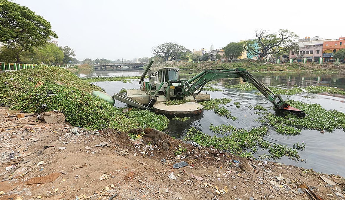 கூவம் : இந்தியாவிலேயே மாசுபாடான நதி - அதிரவைத்த ஆய்வறிக்கை!