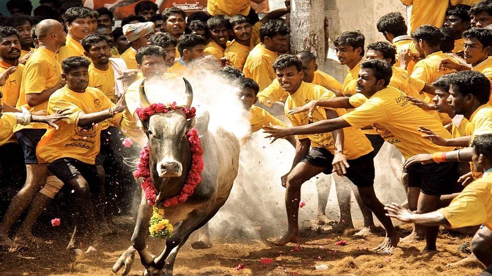 ஜல்லிக்கட்டு: ஆரவாரமாக தொடங்கவுள்ள அலங்காநல்லூர் ஜல்லிக்கட்டு - நேரலையில் காணுங்கள்