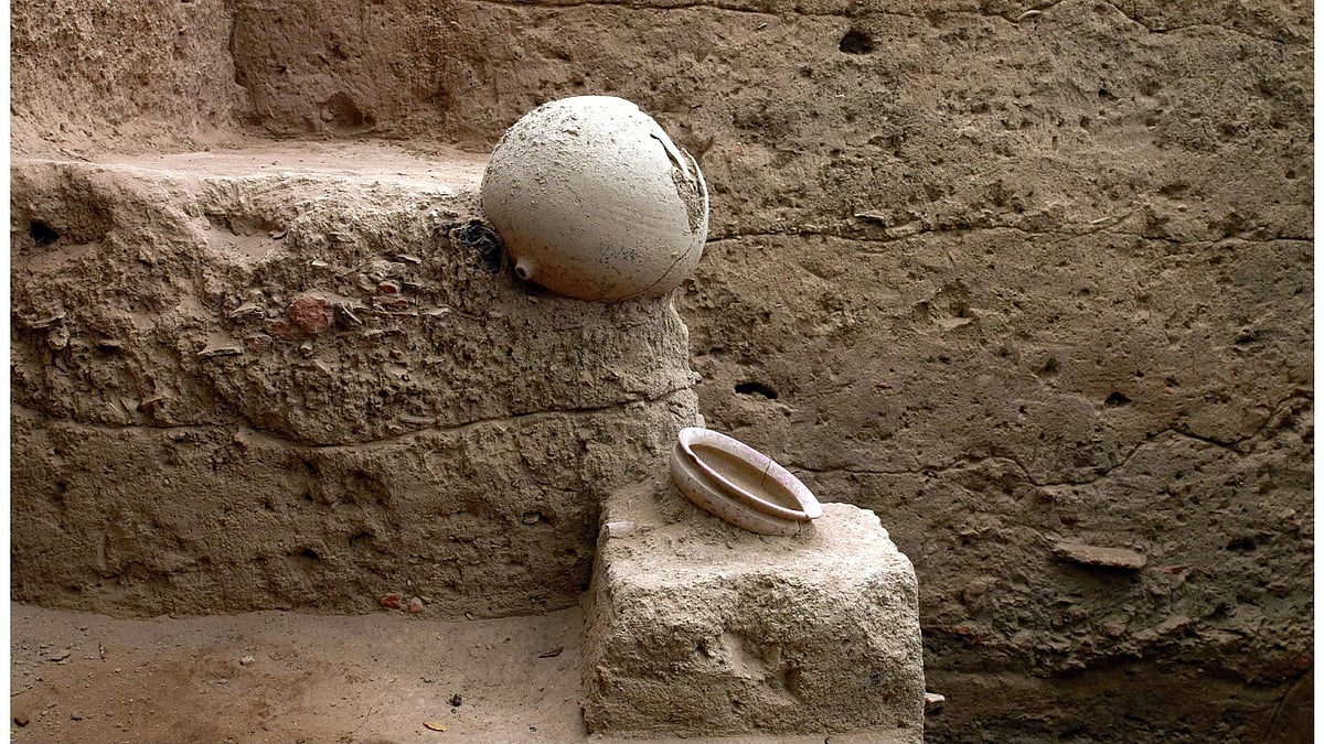 கீழடி அவிழும் மர்மம்: குதிரை எலும்புகள் ஏன் கவனிக்க வேண்டியவை? - சவால்விடும் மதுரை