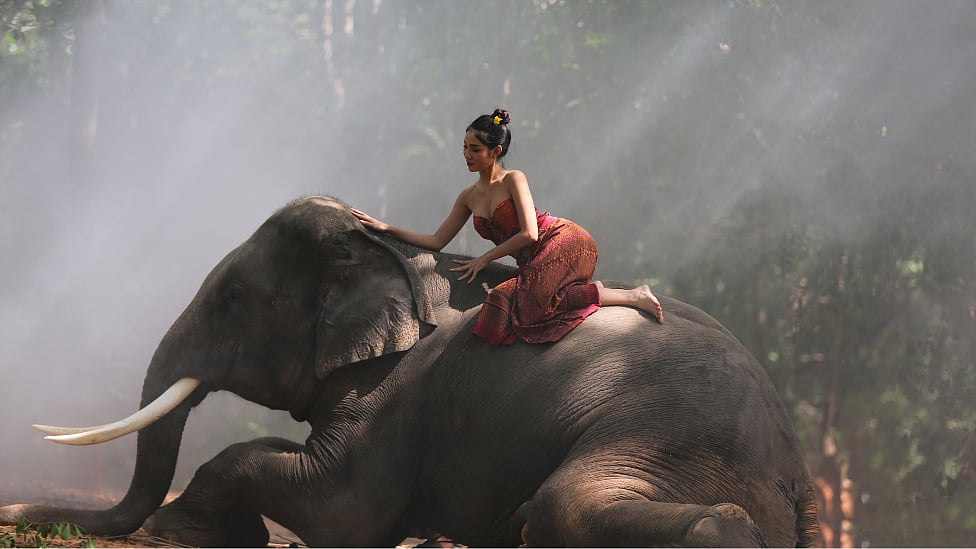 பாலியல் சுற்றுலா, பௌத்தம், யானைகள் - 'தாய்லாந்து' பூலோக சொர்க்கமாக இருக்க என்ன காரணம்?