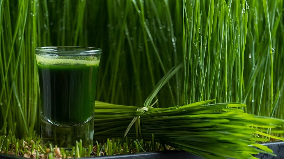 அருகம்புல் ஜூஸ் பயன்கள்: 3 வகை நோய்களை குணப்படுத்தும் ஒரே மூலிகை 