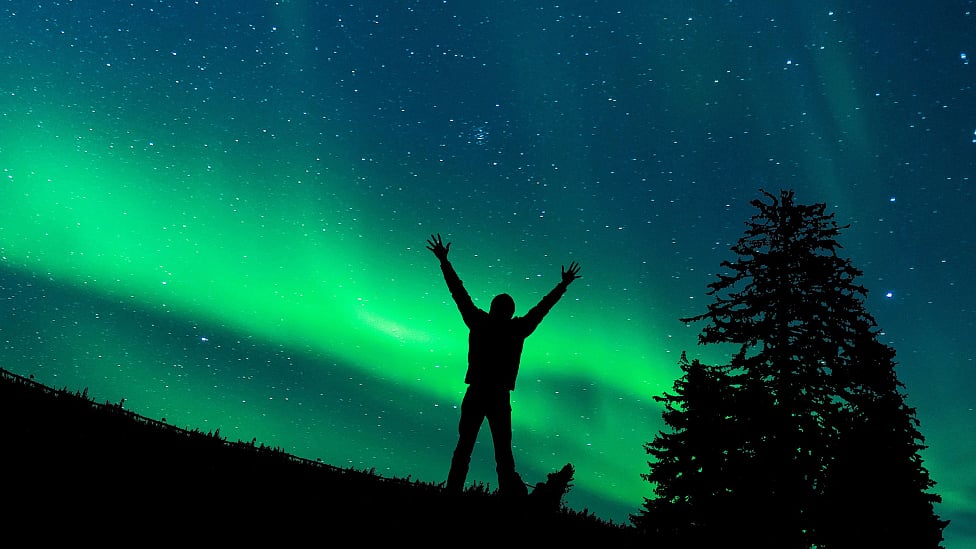 newssensetn%2F2023-03%2F1d1703d7-ca4c-4e