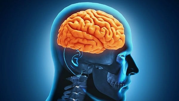 மனம் போன போக்கிலே கால் போகலாமா? Brain VS Mind - என்ன வித்தியாசம் தெரியுமா?