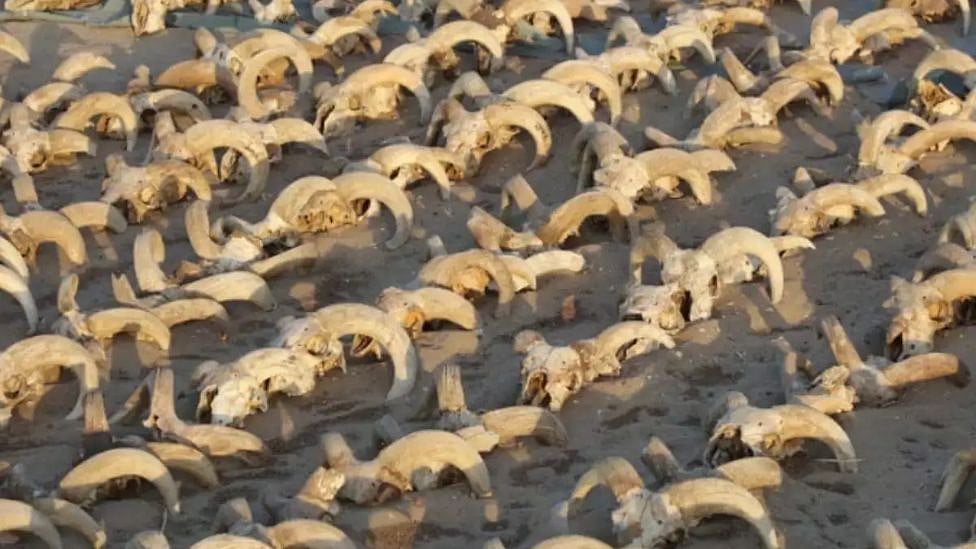 எகிப்து: கோவிலில் கண்டுபிடிக்கப்பட்ட 2000 மம்மிகள்-அகழ்வாராய்ச்சியாளர்கள் அதிர்ந்தது ஏன்? 