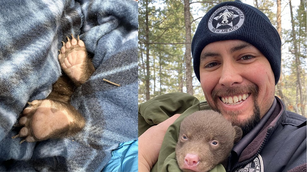 newssensetn%2F2023-03%2Fbed98516-5e24-4f