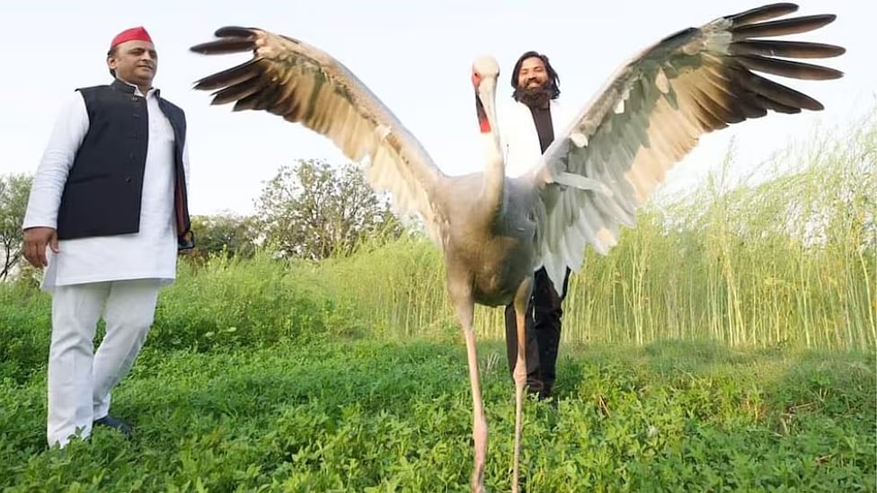 உயிர்காத்த நண்பனிடம் இருந்து கொக்கை பிரித்த அரசு; கண்ணீர் விட்ட ஆரிஃப் - என்ன நடக்கிறது?