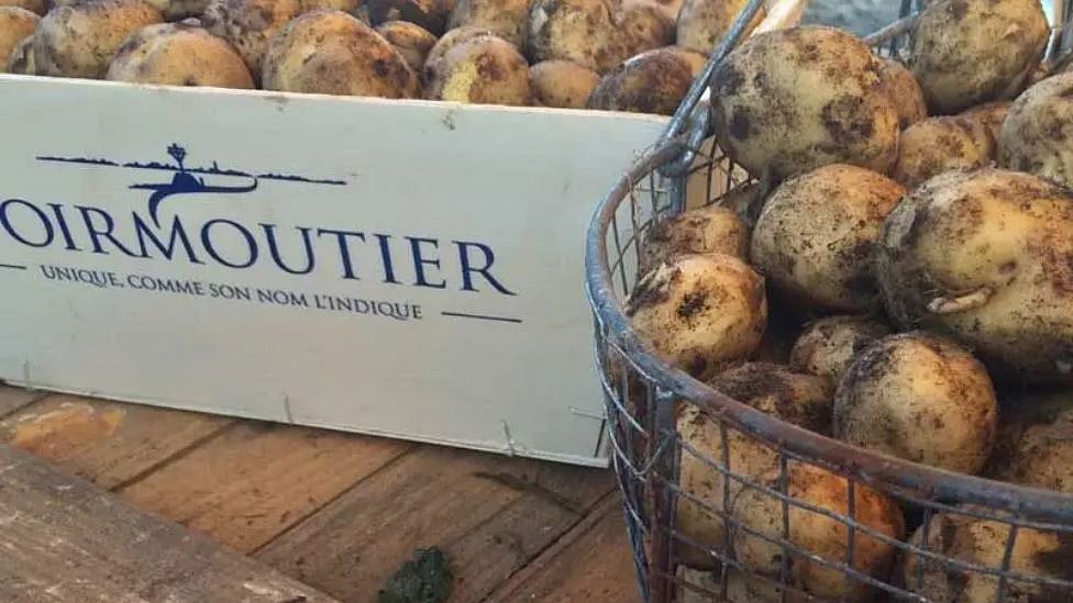 ஒரு கிலோ உருளைக் கிழங்கு 50,000 ரூபாயா? அரிய வகை கிழங்கில் என்ன ஸ்பெஷல் இருக்கிறது?